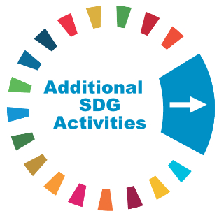 Other SDG Activities